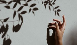 Preview wallpaper hand, branch, shadow, wall