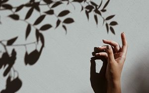 Preview wallpaper hand, branch, shadow, wall