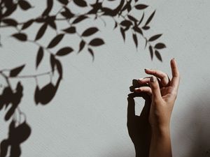 Preview wallpaper hand, branch, shadow, wall