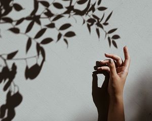Preview wallpaper hand, branch, shadow, wall