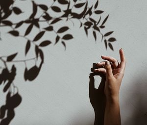 Preview wallpaper hand, branch, shadow, wall