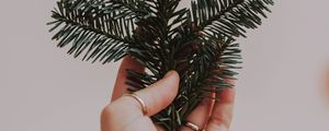 Preview wallpaper hand, branch, spruce, needles