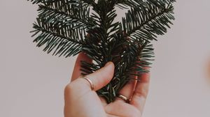 Preview wallpaper hand, branch, spruce, needles