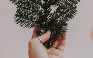 Preview wallpaper hand, branch, spruce, needles