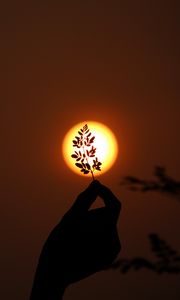 Preview wallpaper hand, branch, sun, sunset, dark