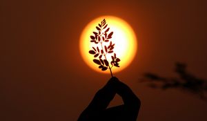 Preview wallpaper hand, branch, sun, sunset, dark