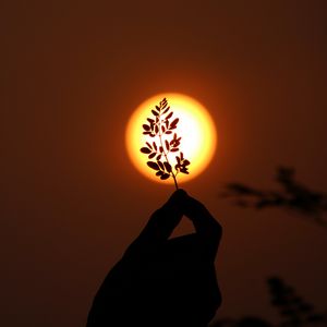 Preview wallpaper hand, branch, sun, sunset, dark