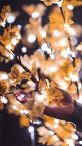 Preview wallpaper hand, branches, garland, leaves, glare, blur