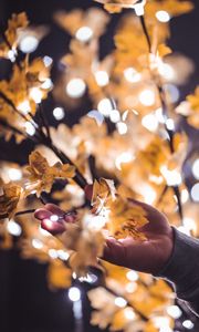 Preview wallpaper hand, branches, garland, leaves, glare, blur