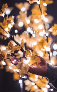 Preview wallpaper hand, branches, garland, leaves, glare, blur