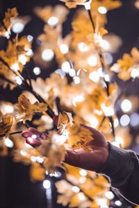 Preview wallpaper hand, branches, garland, leaves, glare, blur