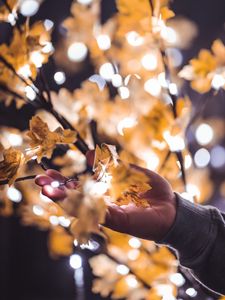 Preview wallpaper hand, branches, garland, leaves, glare, blur