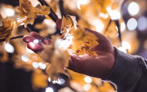 Preview wallpaper hand, branches, garland, leaves, glare, blur