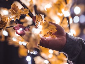 Preview wallpaper hand, branches, garland, leaves, glare, blur