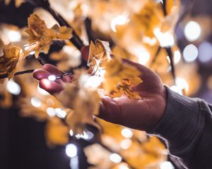 Preview wallpaper hand, branches, garland, leaves, glare, blur