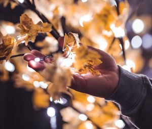 Preview wallpaper hand, branches, garland, leaves, glare, blur