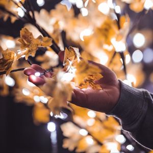 Preview wallpaper hand, branches, garland, leaves, glare, blur