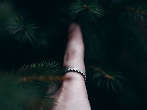 Preview wallpaper hand, branches, spruce, finger, touch