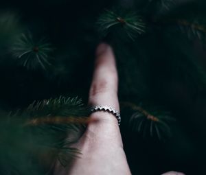 Preview wallpaper hand, branches, spruce, finger, touch