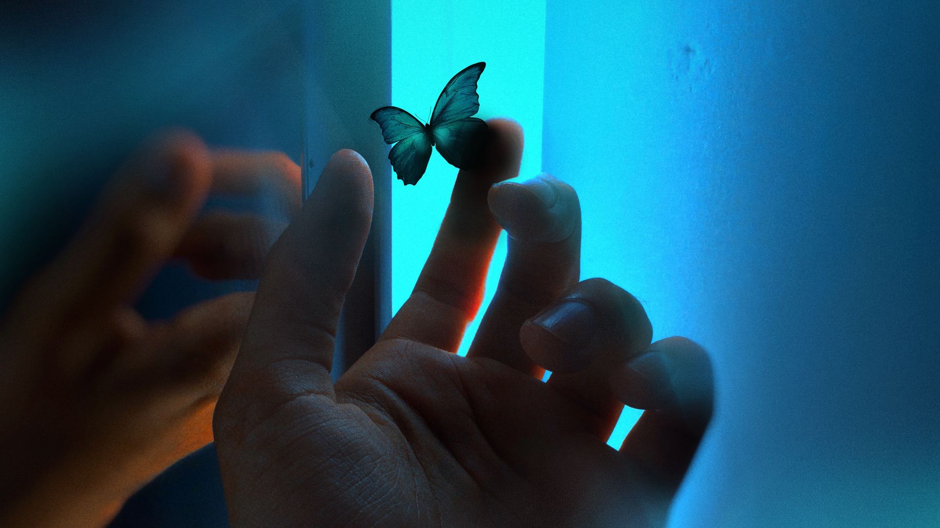 Синяя бабочка на руке