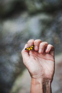 Preview wallpaper hand, butterfly, touch, fingers