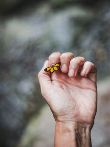 Preview wallpaper hand, butterfly, touch, fingers