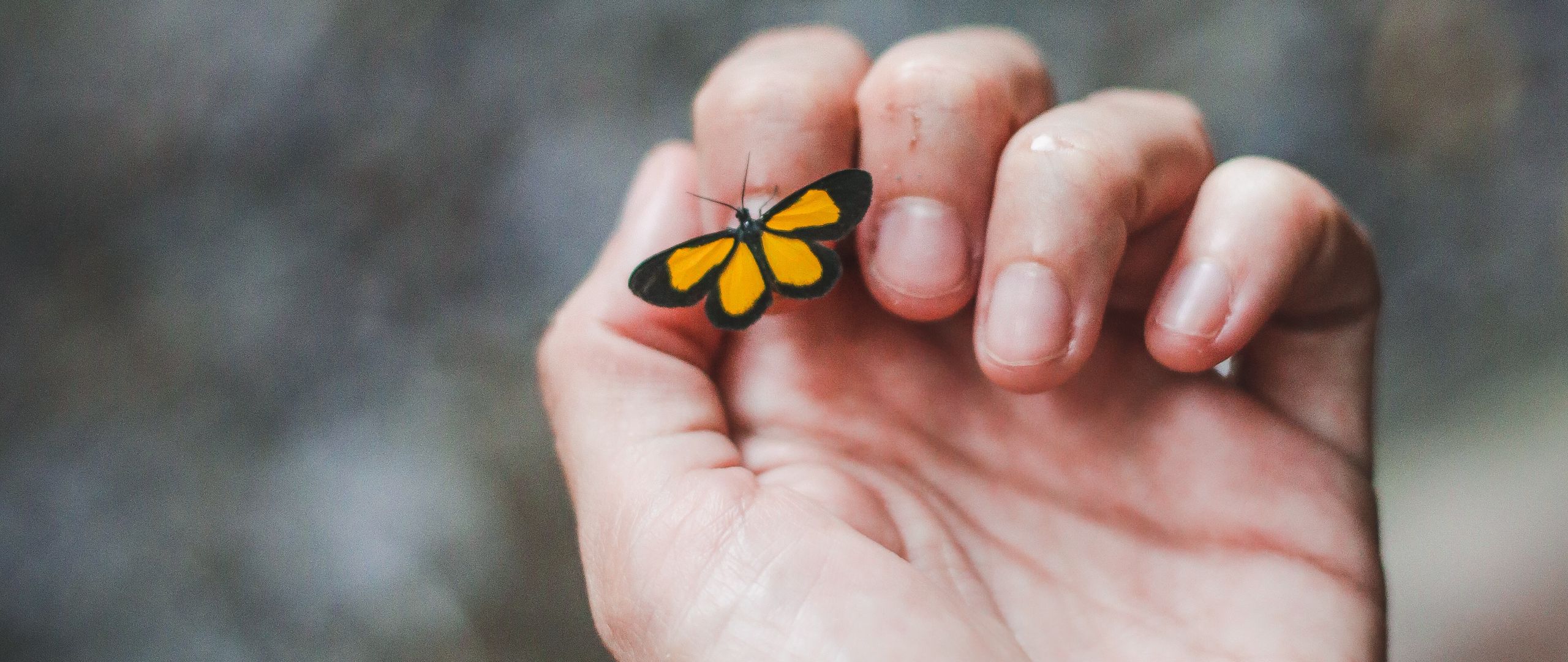 Download wallpaper 2560x1080 hand, butterfly, touch, fingers dual wide