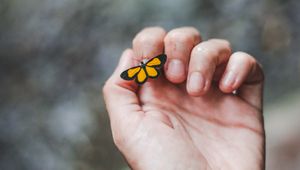 Preview wallpaper hand, butterfly, touch, fingers