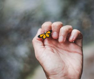 Preview wallpaper hand, butterfly, touch, fingers