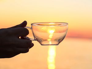 Preview wallpaper hand, cup, sunset, sun