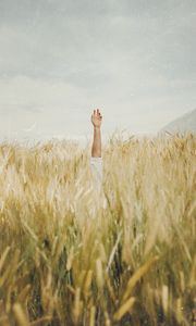 Preview wallpaper hand, ears, field, sky