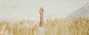 Preview wallpaper hand, ears, field, sky