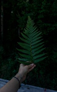 Preview wallpaper hand, fern, leaf, green