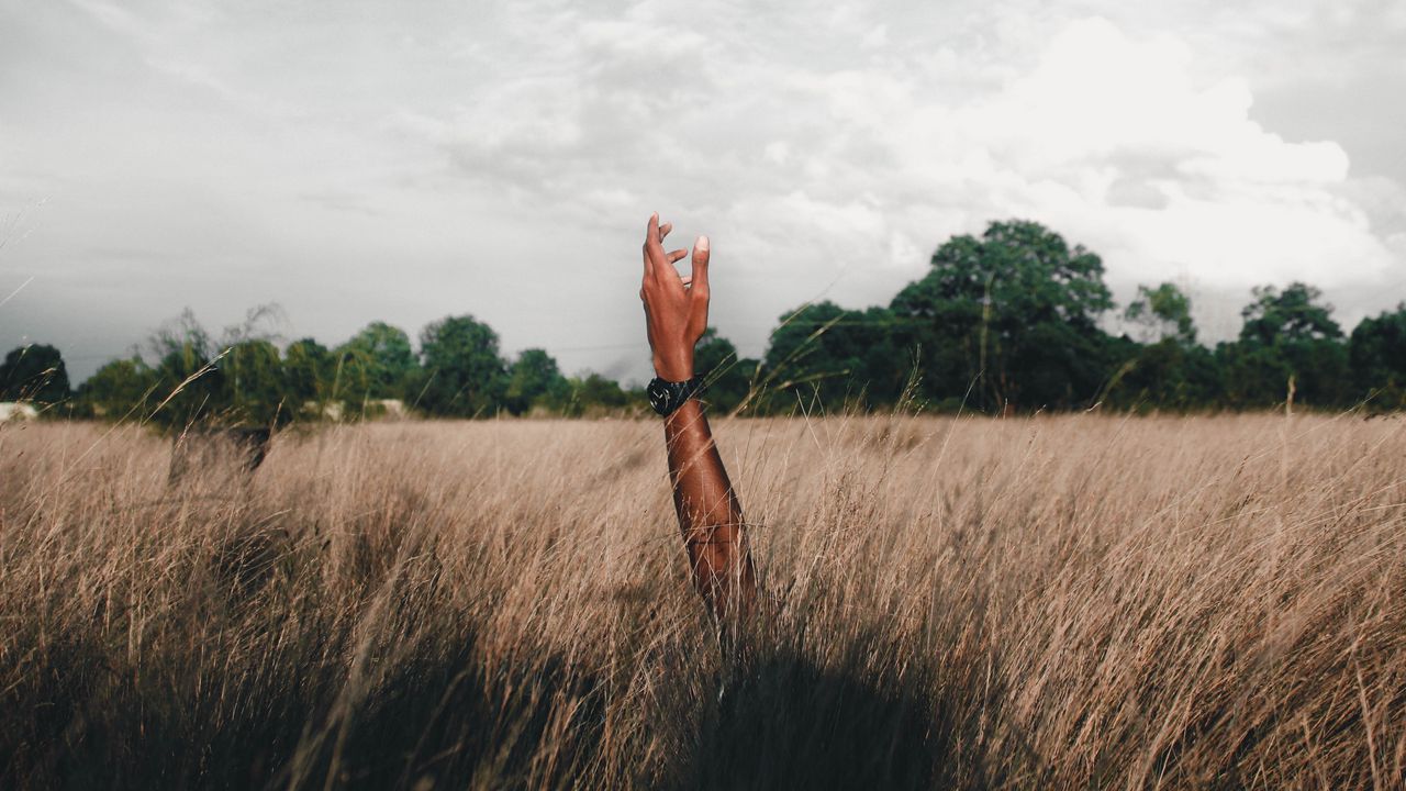 Wallpaper hand, field, grass, clouds