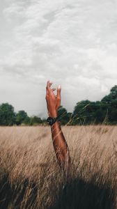 Preview wallpaper hand, field, grass, clouds