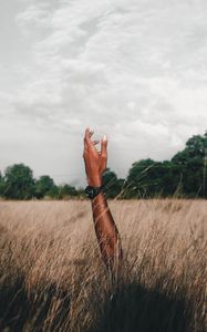 Preview wallpaper hand, field, grass, clouds