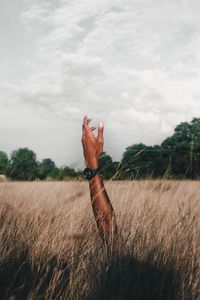 Preview wallpaper hand, field, grass, clouds