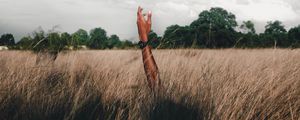 Preview wallpaper hand, field, grass, clouds