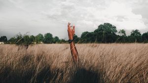 Preview wallpaper hand, field, grass, clouds