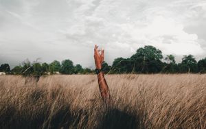 Preview wallpaper hand, field, grass, clouds