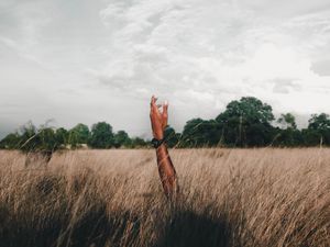 Preview wallpaper hand, field, grass, clouds