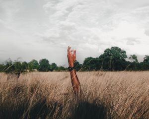 Preview wallpaper hand, field, grass, clouds