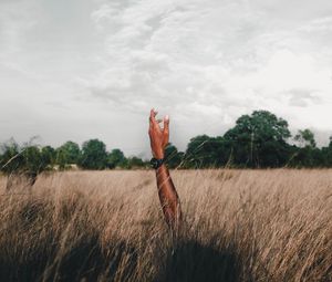 Preview wallpaper hand, field, grass, clouds