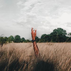 Preview wallpaper hand, field, grass, clouds