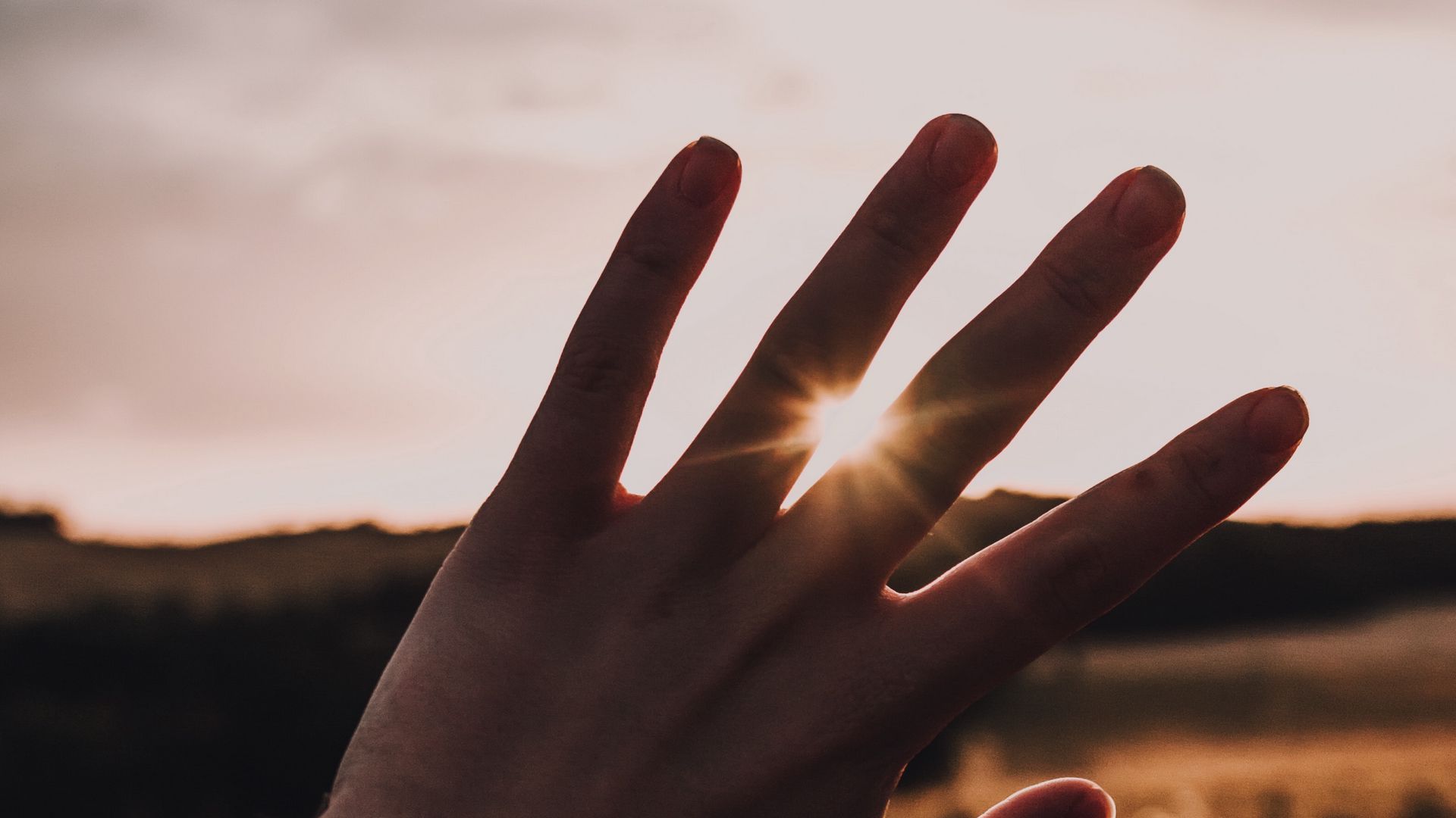Download wallpaper 1920x1080 hand, fingers, sun, sunshine, rays full hd