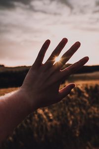 Preview wallpaper hand, fingers, sun, sunshine, rays