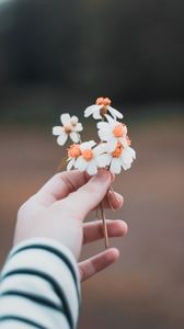 Preview wallpaper hand, flowers, field, tenderness, blur