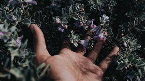 Preview wallpaper hand, flowers, fingers, bush