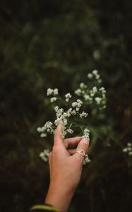 Preview wallpaper hand, flowers, fingers, ring