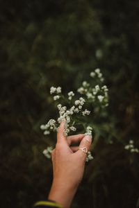 Preview wallpaper hand, flowers, fingers, ring